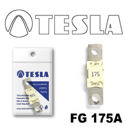  Tesla  MEGA 175A FG175A