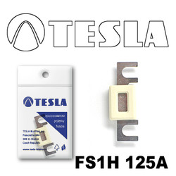  Tesla     125 FS1H125A