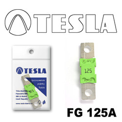  Tesla  MEGA 125A FG125A