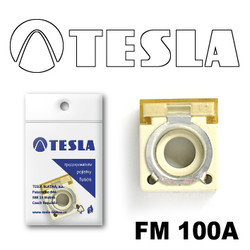  Tesla   FM  100A FM100A