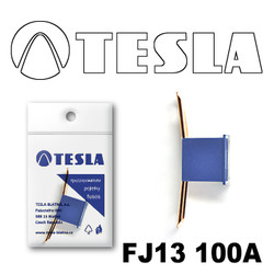   Tesla    FJ13 100 |  FJ13100A - inomarca.kz