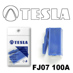  Tesla    FJ07 100 FJ07100A