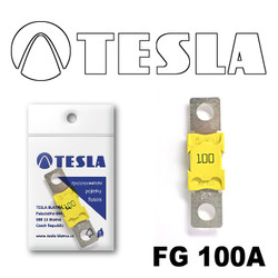  Tesla  MEGA 100A FG100A