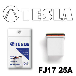  Tesla    FJ17 25 FJ1725A