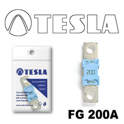  Tesla  MEGA 200A FG200A