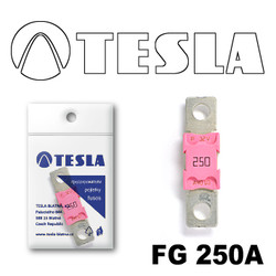   Tesla  MEGA 250A |  FG250A - inomarca.kz
