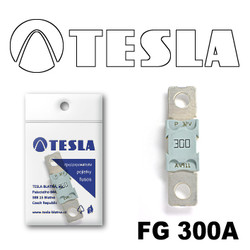  Tesla  MEGA 300A FG300A
