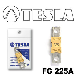  Tesla  MEGA 225A FG225A